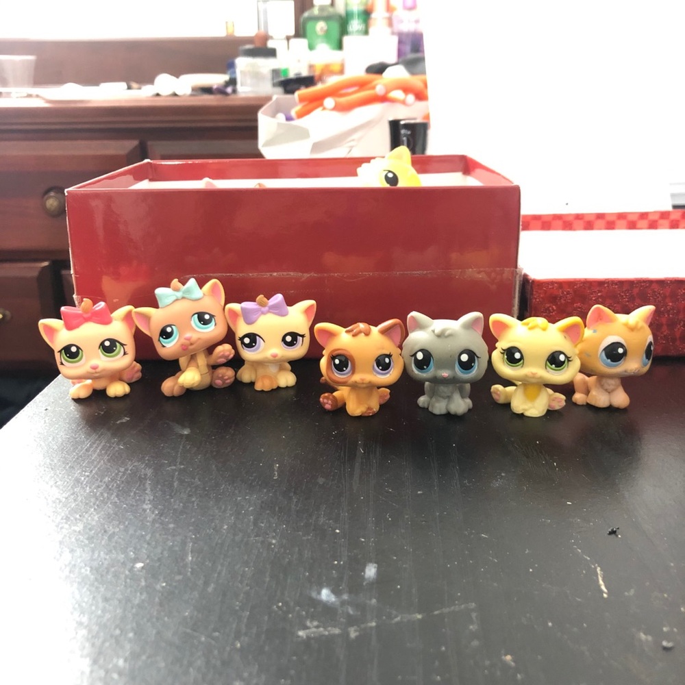Littlest pet shop ( cats )